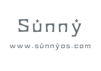 Sunny-Ngrok正式推出https